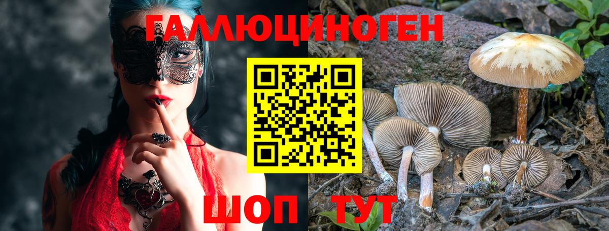 Псилоцибиновые грибы мицелий  Галлюциногенные грибы GOLDEN TEACHER  даркнет сайт  Вход с VPN  Хабаровск 